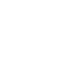 Palmetto Plumbers